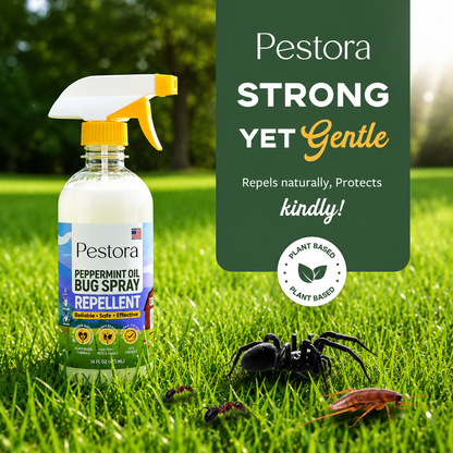 Pet Peppermint Oil Bug Spray